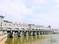 阜阳三角洲公园秋色