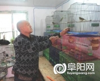 阜阳有个“鸟痴” 义务护鸟20余年