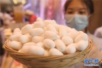 阜阳市全域旅游推广月开幕式暨阜阳文旅创新发展主题对话活动举行